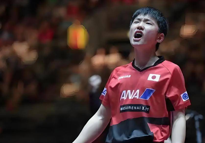 关于比利时乒乓球队险胜中国乒乓球队，张本智和高光表现的信息