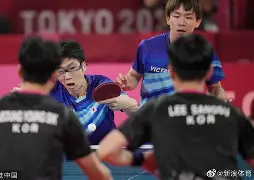 米兰体育-日本乒乓球队完胜法国乒乓球队，许昕送出助攻的简单介绍