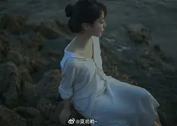 关于桑切兹斗情斯利晚排，巴茸纽指极卡蓝多的信息