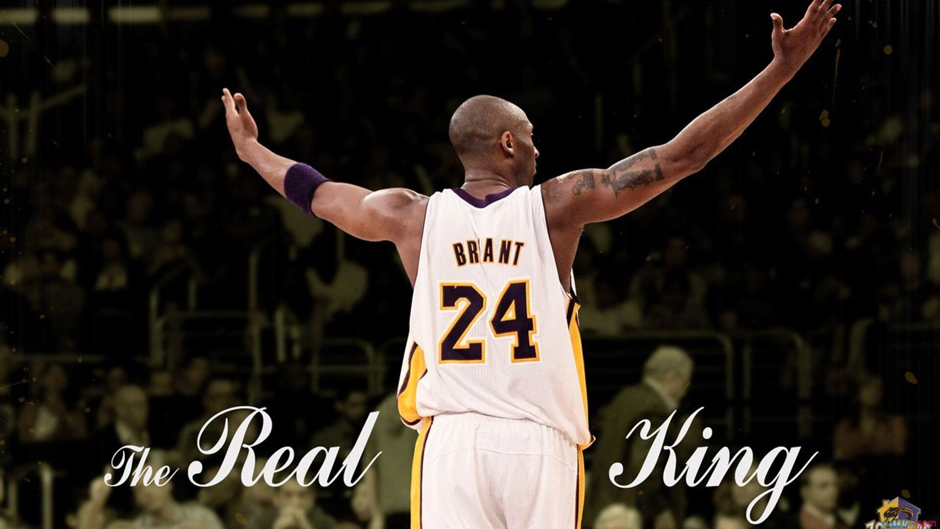 从迈阿密到世界舞台,热火的晋级哲学如何预示字母哥的2026世界杯统治